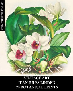 Couverture_Vintage Art