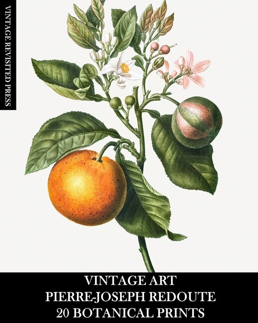 Couverture_Vintage Art