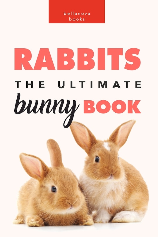 Front cover_Rabbits