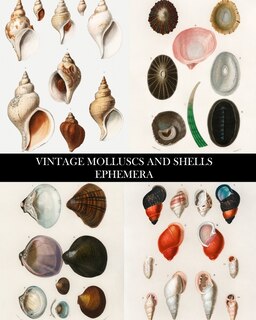 Couverture_Vintage Molluscs and Shell Ephemera