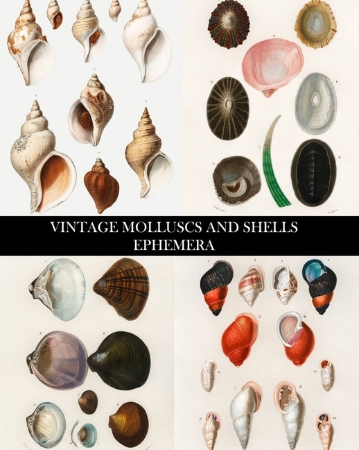 Couverture_Vintage Molluscs and Shell Ephemera