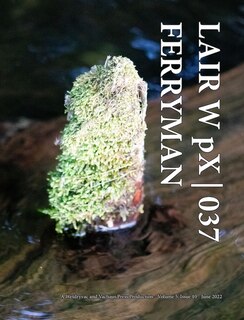 Front cover_LAIR W pX 037 Ferryman