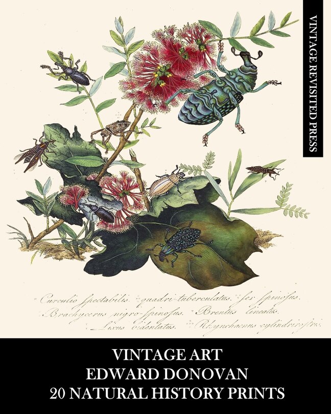 Front cover_Vintage Art