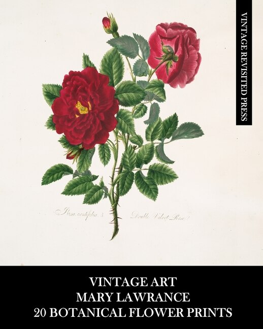Front cover_Vintage Art