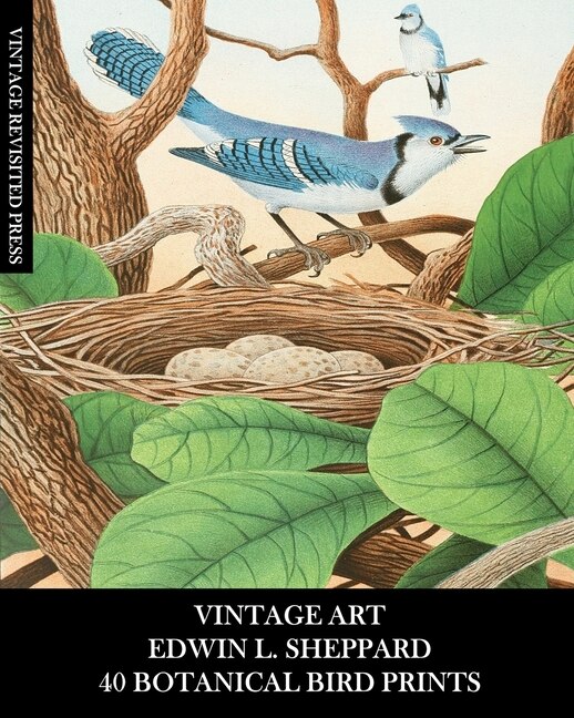 Front cover_Vintage Art