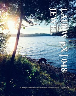 Front cover_LAIR W pX 048 Jewel