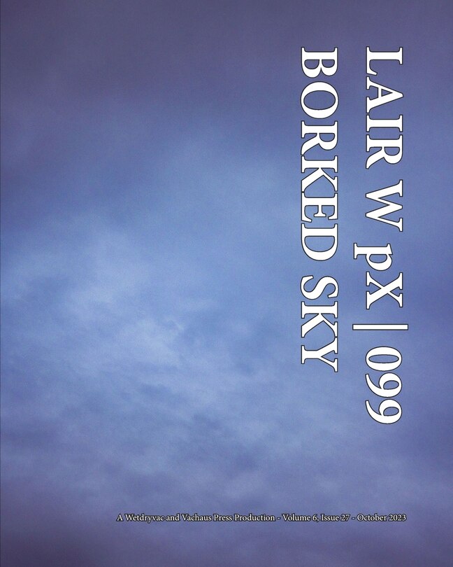 Couverture_LAIR W pX 099 Borked Sky