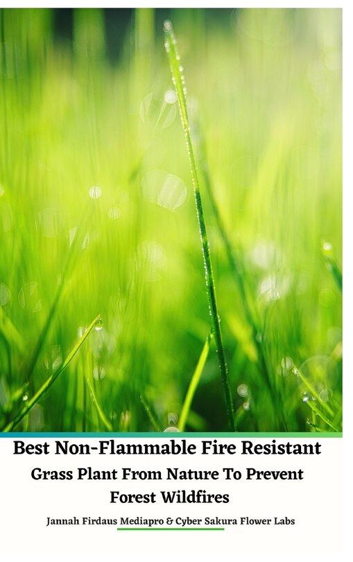 Front cover_Best Non-Flammable Fire Resistant Grass Plant From Nature to Prevent Forest Wildfires Hardcover Edition
