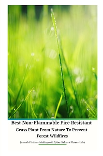 Couverture_Best Non-Flammable Fire Resistant Grass Plant From Nature to Prevent Forest Wildfires