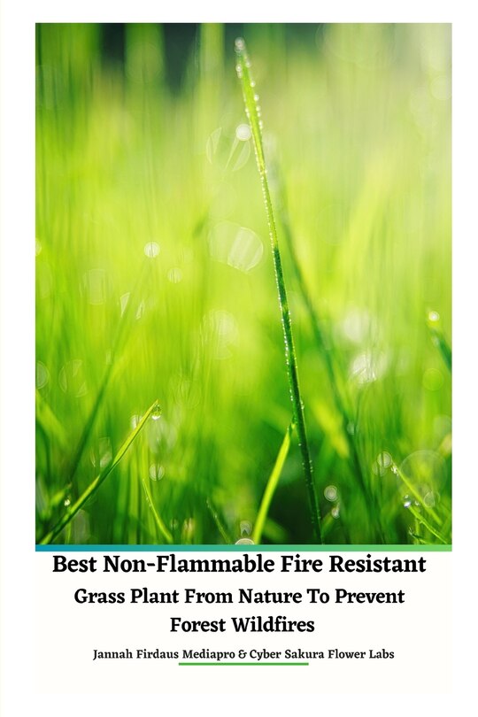 Couverture_Best Non-Flammable Fire Resistant Grass Plant From Nature to Prevent Forest Wildfires