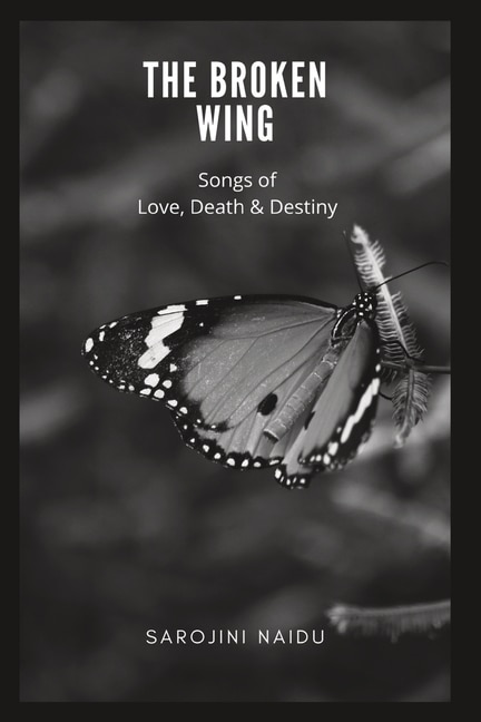 Couverture_The Broken Wing