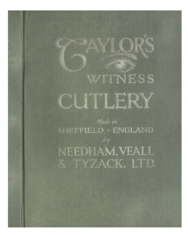 Couverture_Taylor's Eye Witness