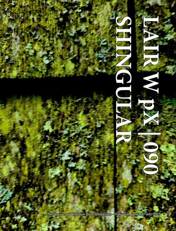 Front cover_LAIR W pX 090 Shingular