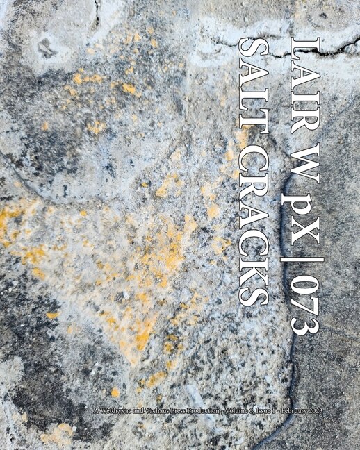 Front cover_LAIR W pX 073 Salt Cracks