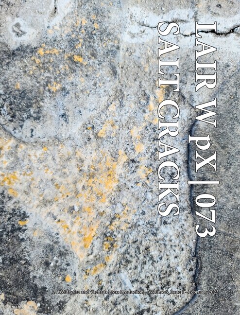 Front cover_LAIR W pX 073 Salt Cracks