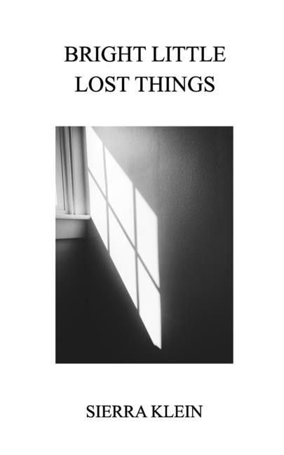 Front cover_Bright Little Lost Things