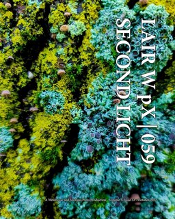 Front cover_LAIR W pX 059 Second Licht