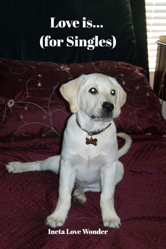 Couverture_Love is (for Singles)