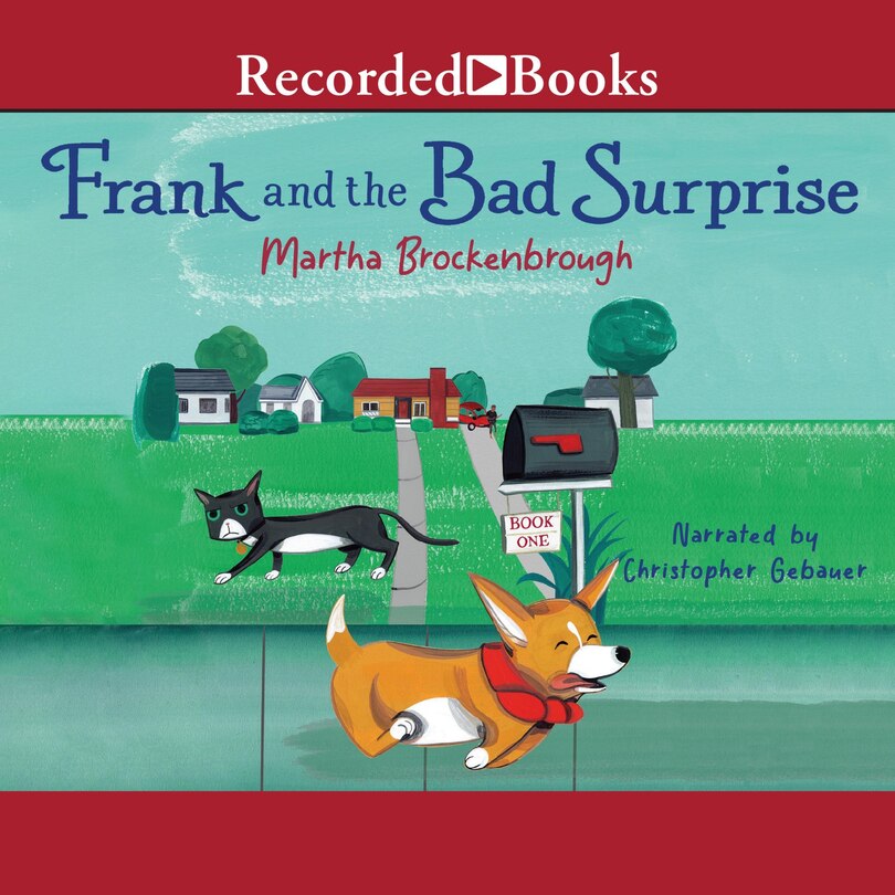 Front cover_Frank and the Bad Surprise