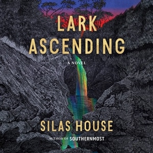 Lark Ascending: A Novel