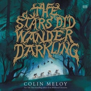 Couverture_The Stars Did Wander Darkling