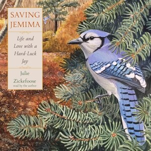 Front cover_Saving Jemima
