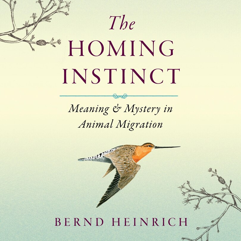 Front cover_The Homing Instinct