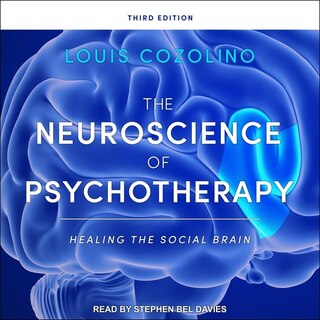 The Neuroscience Of Psychotherapy: Healing The Social Brain, Third Edition