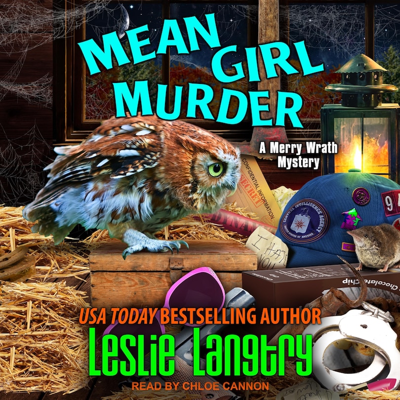 Front cover_Mean Girl Murder