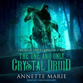 Couverture_The One And Only Crystal Druid