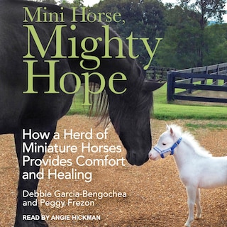 Mini Horse, Mighty Hope: How A Herd Of Miniature Horses Provides Comfort And Healing