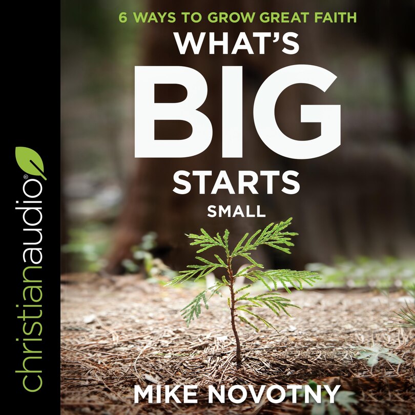 Couverture_What's Big Starts Small