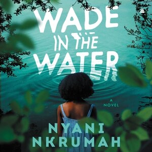 Wade in the Water: A Novel