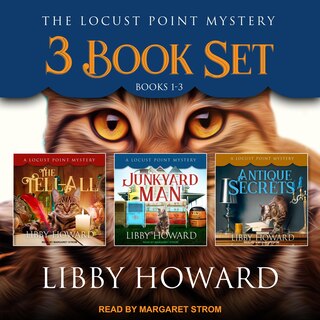 Front cover_Locust Point Mystery 3 Book Set