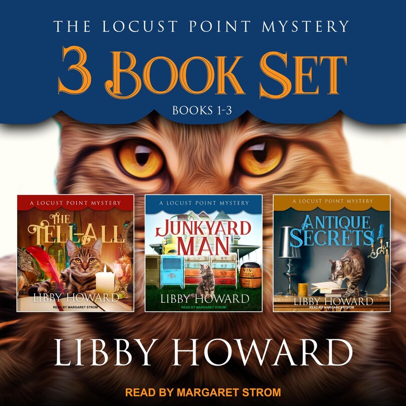 Front cover_Locust Point Mystery 3 Book Set