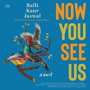 Now You See Us: A Novel