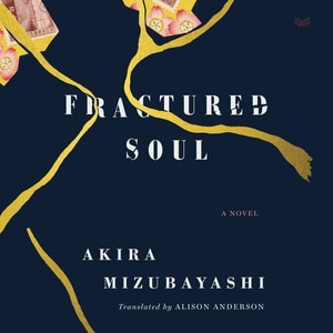 Fractured Soul: A Novel