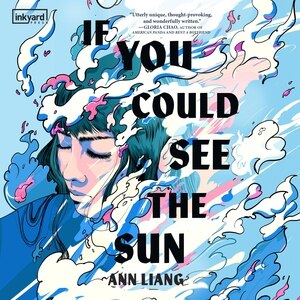 Couverture_If You Could See the Sun