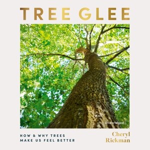 Couverture_Tree Glee