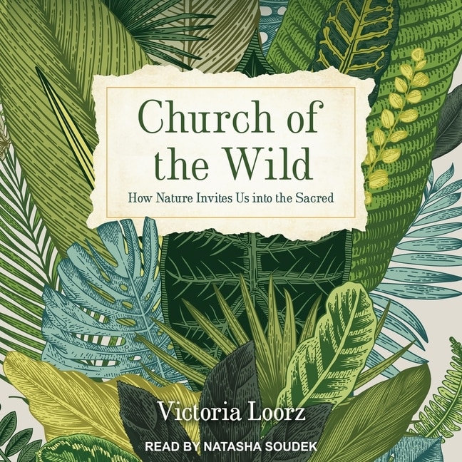 Front cover_Church of the Wild