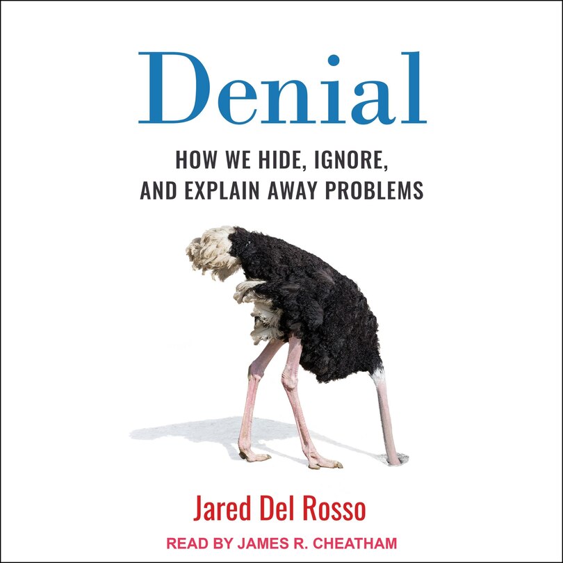 Couverture_Denial