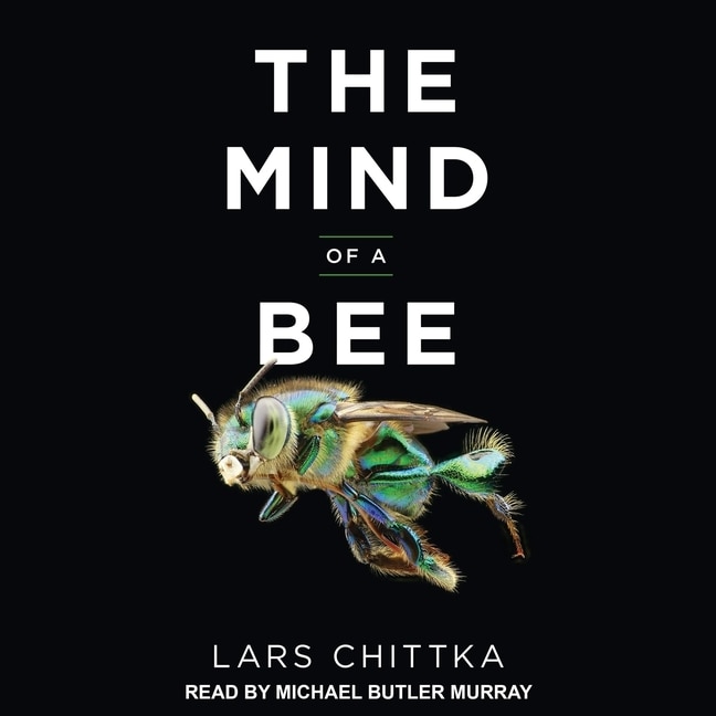 Front cover_The Mind of a Bee
