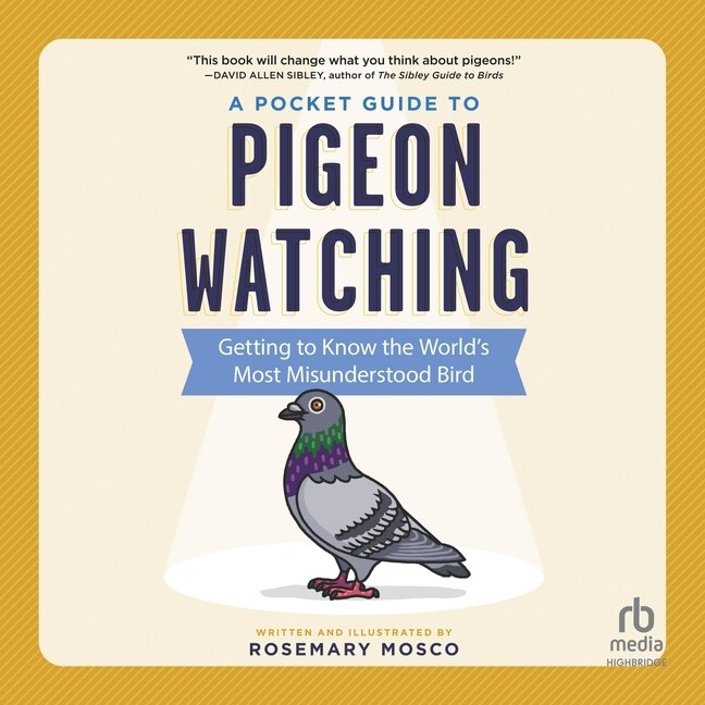 A Pocket Guide to Pigeon Watching: Getting to Know the World's Most Misunderstood Bird