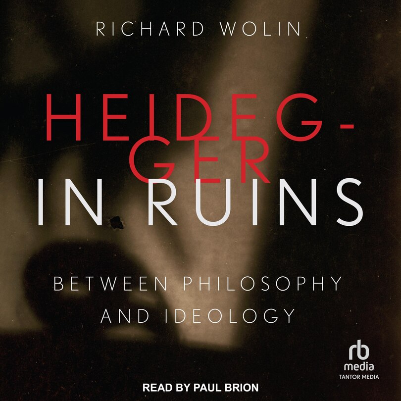 Couverture_Heidegger in Ruins