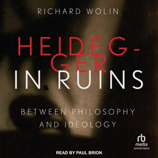 Front cover_Heidegger in Ruins