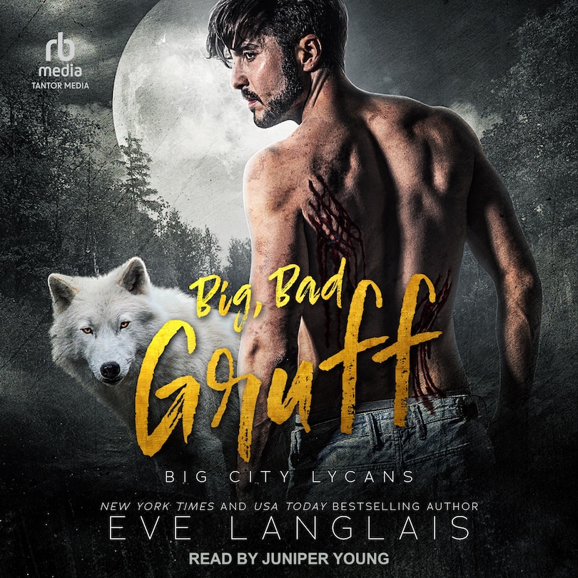 Couverture_Big, Bad Gruff