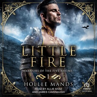 Couverture_Little Fire