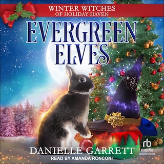 Couverture_Evergreen Elves
