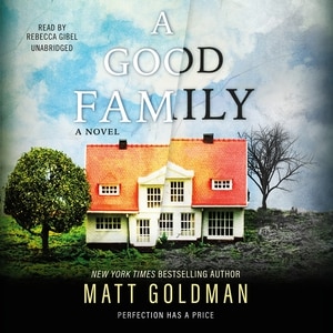 A Good Family: A Novel