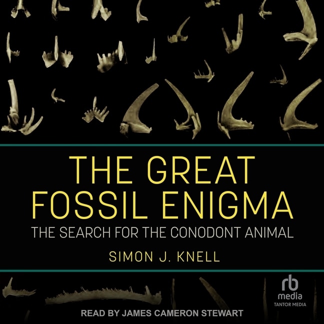 Couverture_The Great Fossil Enigma